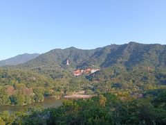 -深圳仙湖植物园