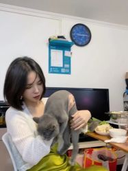 -付军剪艺