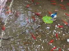 -弘医堂中医院
