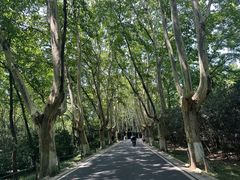 -WeLope紫金山探险公园