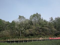 -云岗森林公园