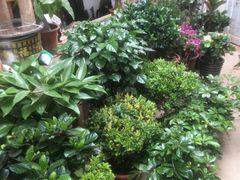 -京贸物联批发市场
