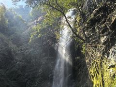 -莫里热带雨林景区