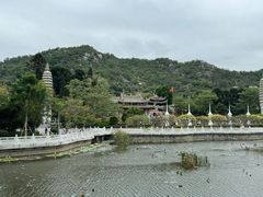 -南普陀素菜馆