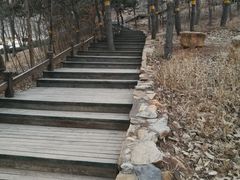 -鬼笑石后山停车场