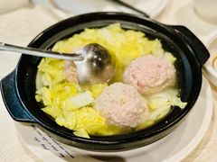 -丁老爷子苏香圆