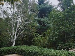 -北京鹫峰国家森林公园