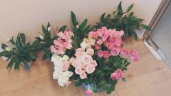 -静照轩养心瑜伽馆