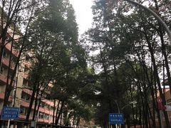 -四川大学(望江校区)
