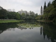 -荔枝公园(福田区)