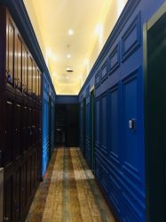 -东晨宝格丽品质造型