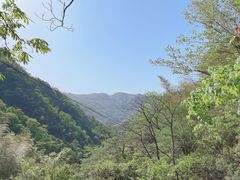 -藏龙百瀑风景区