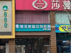 -瑞派名望志远动物医院·猫科·內科·异宠专科(直港大道店)
