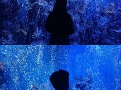 -石家庄海洋公园