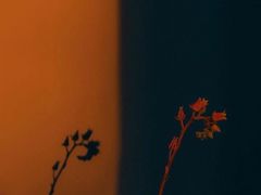 -奥斯特牛排馆(圣母百花大教堂)