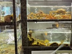 -甄御•海鲜新青岛菜(麦岛店)