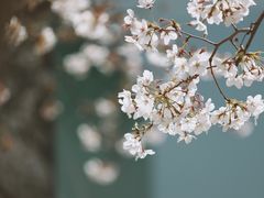 -龙美术馆(西岸馆)