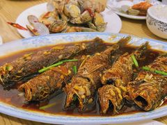 -九龙餐厅(大沽路店)