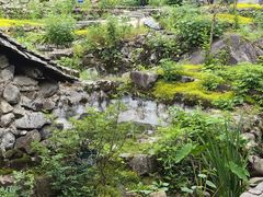 -MOJ coffee(瓯海泽雅水碓坑店)