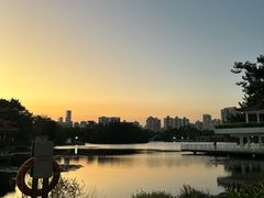 -荔枝公园(福田区)