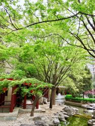 -琅悦月子会所(香格里拉旗舰店)