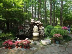 -上海醉白池公园
