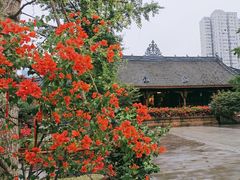 -古大圣慈寺