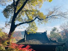 -虎跑公园