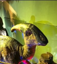 -恐龙探索乐园(磁器口店)