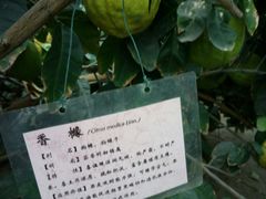 -晶宝温泉农庄