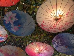 -海韵人家.海景花园经典云南菜(双廊店)