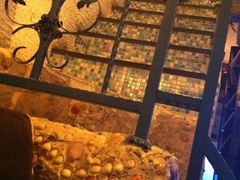 from iPhone 2560-Sirena海妖日咖夜酒