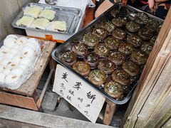 -乌镇东栅景区