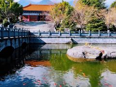 -崇圣寺三塔文化旅游区