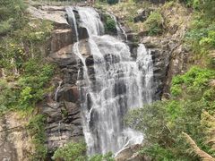 -海南热带雨林国家公园吊罗山景区