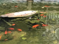 -华林国际玉器城(康王中路)