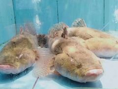 -徐记海鲜(梅溪新天地店)
