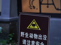 -WeLope紫金山探险公园