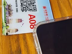 -扬州狮子楼·非遗淮扬菜(东关街店)