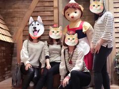 -济州岛泰迪熊博物馆