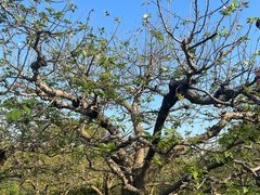 -世纪公园-世纪春沁园