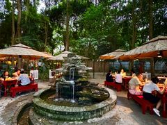 -二荆条·蜀鲜汇城市森林火锅