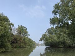 -大湾区中央湿地公园