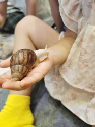 -奈尔宝·儿童乐园·亲子餐厅(鄞州万达店)