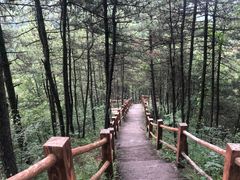 -商洛老君山旅游风景区