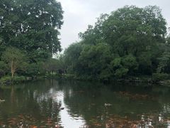 -西湖外事游船(花港观鱼码头)