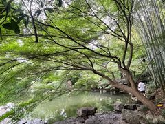 -杭州植物园