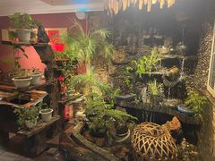 -大匠工房古船木艺术餐厅·猪肚鸡专门店(长白仙岛店)