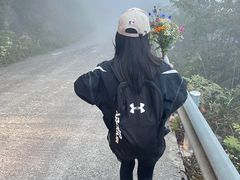-武陵山森林公园