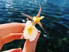 -丽江泸沽湖景区